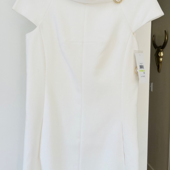 Stunning Harper Rose Shift/A~line dress - Picture 6 of 10